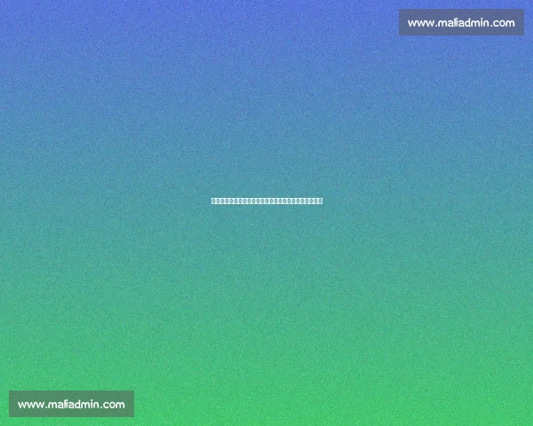 库蒂尼奥铁心留守瓦斯科达伽马！英超生涯正式画上句号