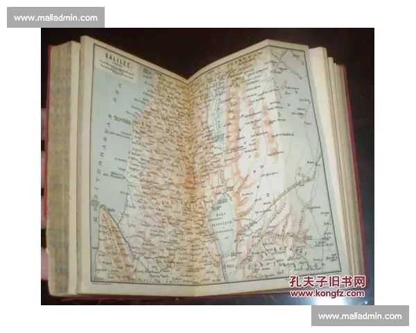 日本对阵巴勒斯坦的实力博弈与西亚赛场新变局前景观察解析全景