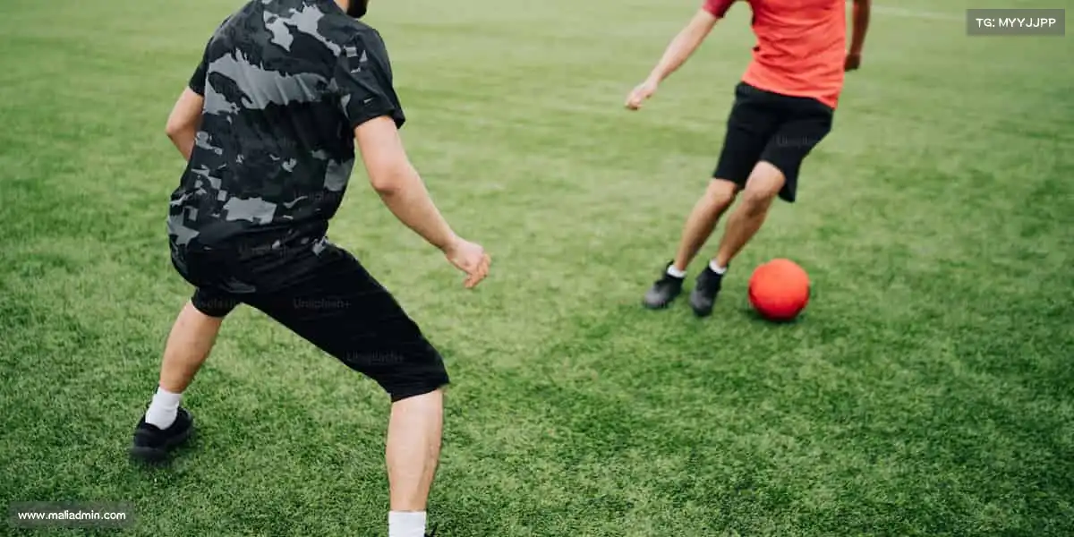 为什么选择我们